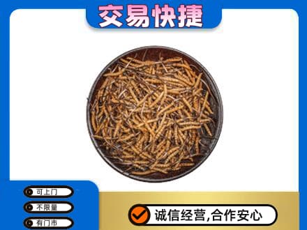 营口高价回收散虫草